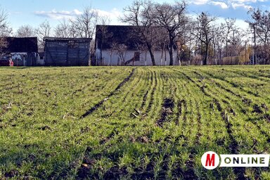 (Fotó: Gergely Árpád)