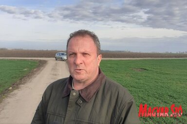 Vladimir Rankov, a verbászi mezőgazdasági szakszolgálat agronómusa (Paraczky László felvétele)