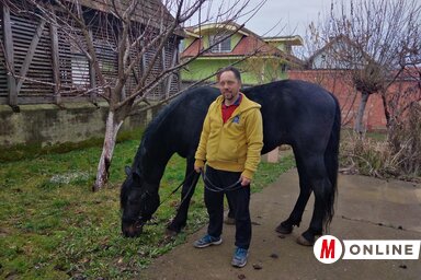 A lovas foglalkozások is része a Vi-lo-go programjának (Fehér Rózsa felvétele)