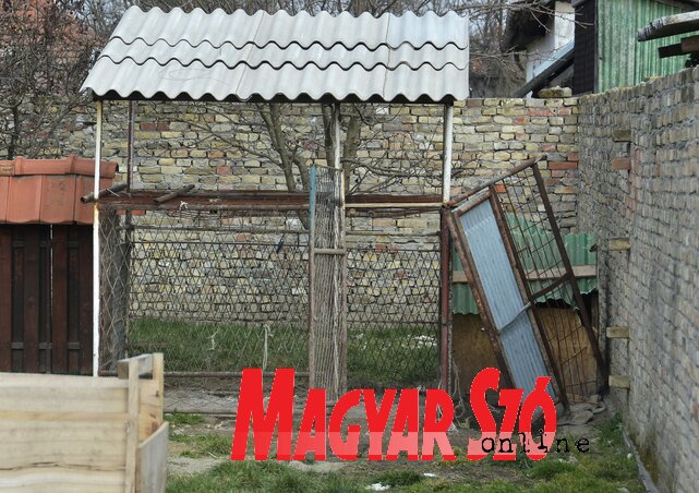 A tragédia helyszíne, a kutyák az udvari bokszból rontottak rá a kisfiúra (Gergely József felvétele) A tragédia helyszíne, a kutyák az udvari bokszból rontottak rá a kisfiúra (Gergely József felvétele)
