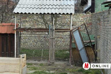 A tragédia helyszíne, a kutyák az udvari bokszból rontottak rá a kisfiúra (Gergely József felvétele)