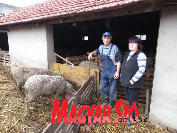 Raffai Csaba és Mária (Csincsik Zsolt felvétele)