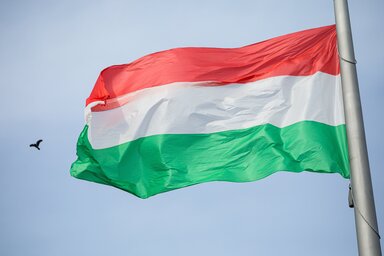 Felvonták a nemzeti lobogót (Fotó: MTI)