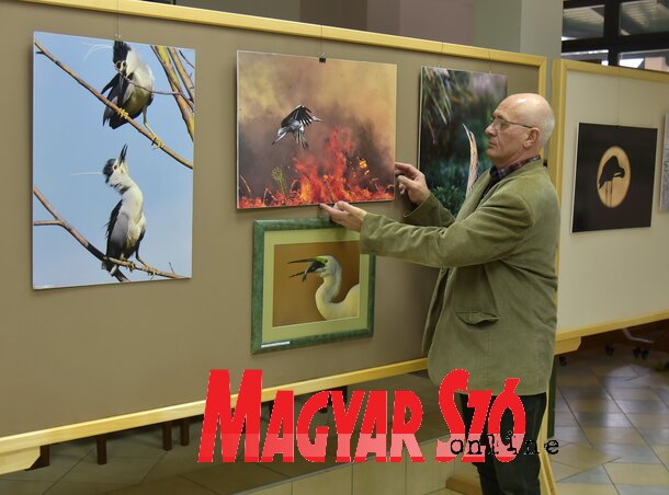 A horgoson nyílt fotókiállítás három hétig látogatható A horgoson nyílt fotókiállítás három hétig látogatható