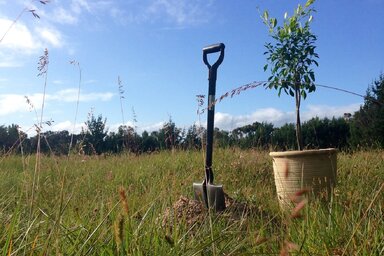 (Illusztráció: pixabay.com)