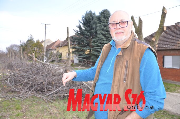 Ágyas László visszametszette a diófákat, hogy ne veszélyeztessék a villanyvezetékeket