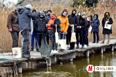 A diákok megtudhatták, mely halfajok tóban való jelenléte kívánatos, illetve nem kívánatos (Fotó: Gergely Árpád)