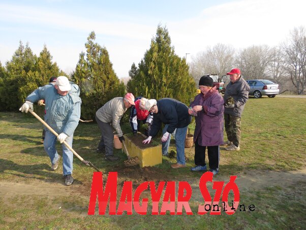 A természetvédők munkaakciója a Tisza-parton A természetvédők munkaakciója a Tisza-parton