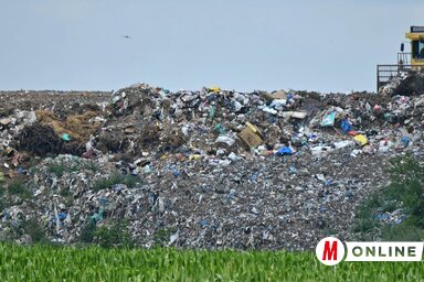 Az újvidéki civil szervezetek és az önkormányzat képviselői közös munkacsoportot alakítottak a környezetvédelmi gondok közös kezelése érdekében. A felvételen az egyre nagyobbra dagadó városi szeméttelep