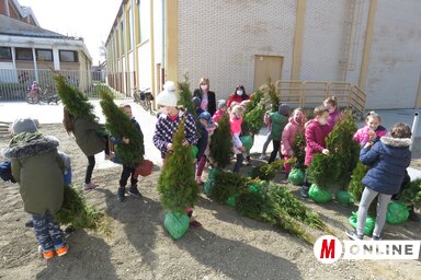 A moholi diákok is részt vettek a fatelepítésben