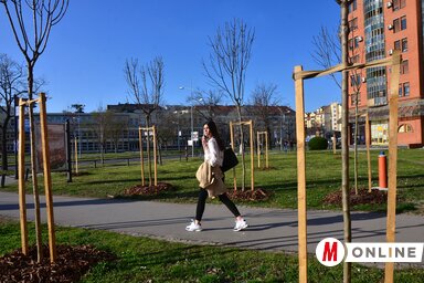 A város területén két újabb parkot létesítenek, az egyiket a SPENS mellett, a másikat pedig a Strand közelében. Hely híján valószínűleg a még meglévő (nem beépített) zöld területek valamelyikén ültetnek el fákat, úgy, mint ahogy az a limáni asszisztensott