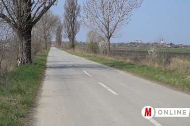 Hamarosan nagy lesz itt a forgalom (Fehér Rózsa felvétele)