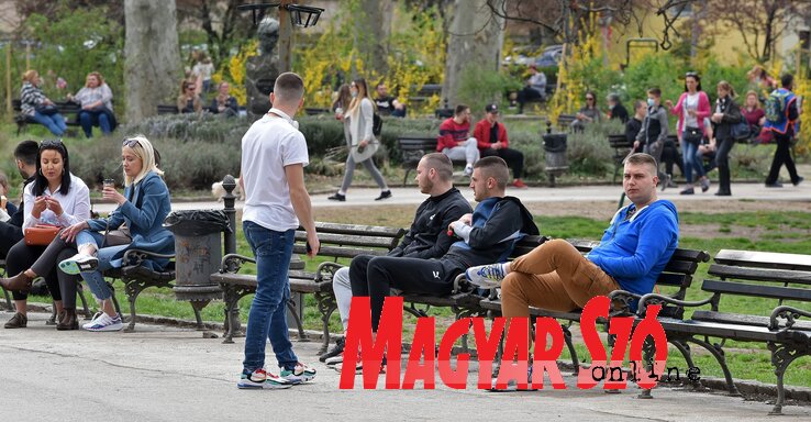Péntek délután Újvidéken a Duna parkban (Ótos András felvétele) Péntek délután Újvidéken a Duna parkban (Ótos András felvétele)