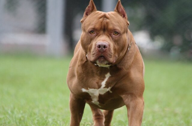 Illusztráció (pixabay.com)