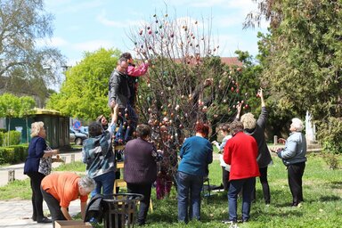 A Dália tagjai lelkesen díszítették a tojásfát (Lakatos János felvétele)