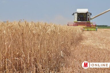 Vigyázzunk aratás közben is a kicsapódó szikrákra! (Fotó: Vidács Hajnalka)