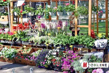 (Fotó: Gergely Árpád archív)