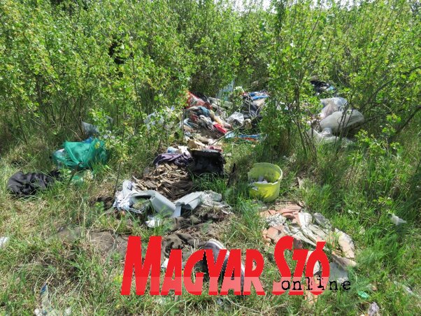 Rongyok, dobozok és műanyagok a bajai vasútvonalnál (Fotó: Patyi Szilárd) Rongyok, dobozok és műanyagok a bajai vasútvonalnál (Fotó: Patyi Szilárd)