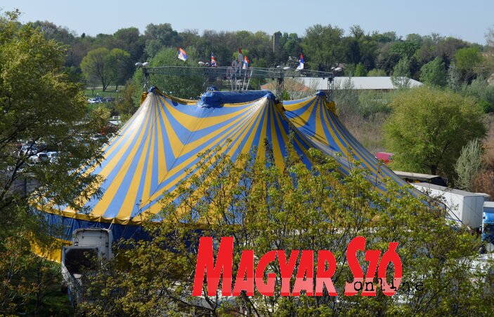 Az elmúlt héten Topolyán várta a látogatókat, a napokban Rumán áll a Circo Massimo sátra (Lackó Varjú Sára felvétele)