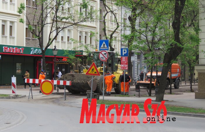 (Fotó: Patyi Szilárd) (Fotó: Patyi Szilárd)