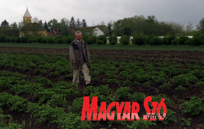 Minden egy helyen (Fotó: Kecskés István)