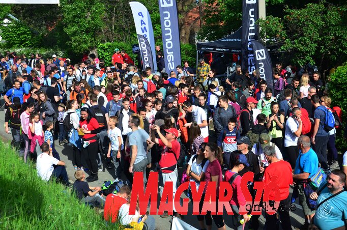 Fotó: Dávid Csilla