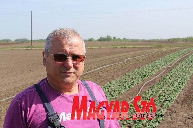 Káposzta László (Fotó: Benedek Miklós) Káposzta László (Fotó: Benedek Miklós)