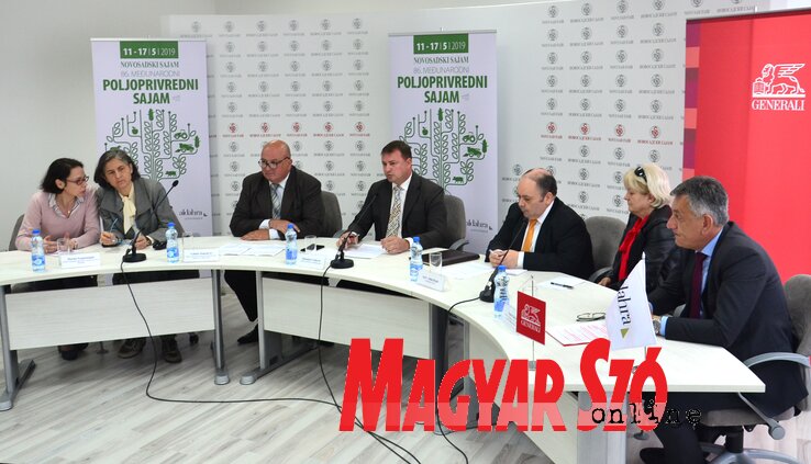 Marina Scognamiglio, Velimir Stanojević, Slobodan Cvetković, Seyf-Allah Rejeb és Leonid Babić (Fotó: Dávid Csilla)