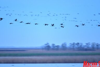 Elsősorban a Sóskopó idegenforgalmi lehetőségeit szeretnék fejleszteni (Fotó: Gergely József)