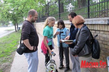 A túrázók Topolya utcáin barangolva figyelik meg a madarakat Sihelnik József ornitológus vezetésével (Sihelnik Ágnes felvétele)
