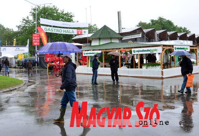 Alig akadt járókelő a sétányon a délelőtti órákban (Fotó: Dávid Csilla)