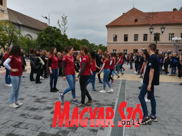 Fehér Rózsa felvétele