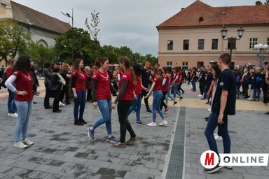 Fehér Rózsa felvétele