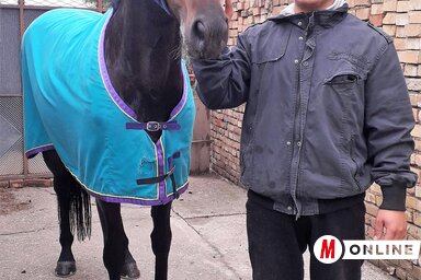 Szerbák Zsolt és Leila a felkészülés során