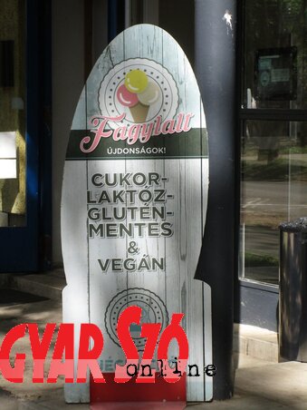 Fagyi „minden” nélkül (Fekete J. József felvétele Fagyi „minden” nélkül (Fekete J. József felvétele