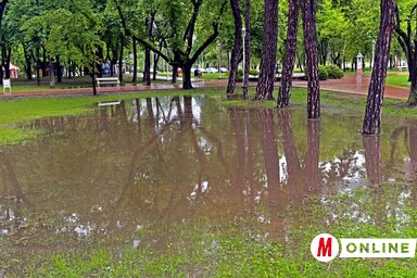 Palicson fél óra alatt nagy mennyiségű csapadék hullott (Fotó: Gergely Árpád)