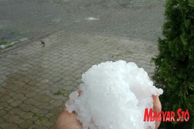 Illusztráció