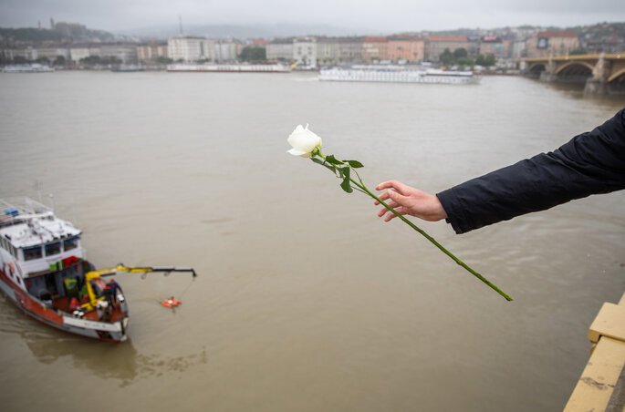 Valaki virágot dob a Dunába az áldozatok emlékére a katasztrófa helyszínén (Fotó: MTI)