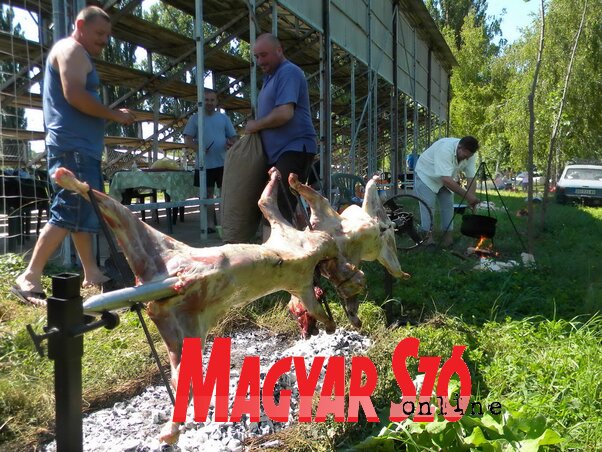 Fotó: Lakatos János