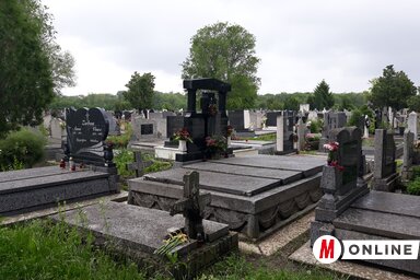 A jövőben rendezettebb lesz a zentai Alsóvárosi temető (Homolya Horváth Ágnes felvétele)