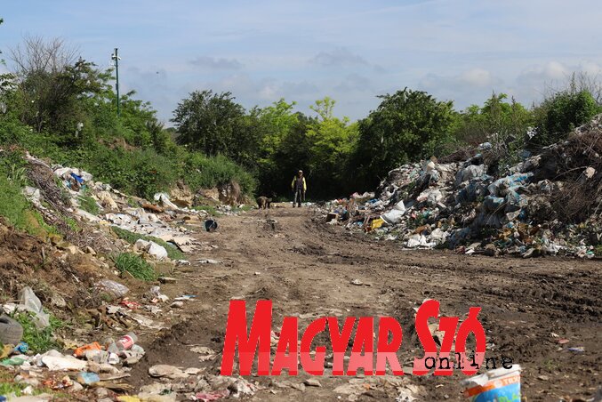 A kishegyesi szeméttelep (Lakatos János felvétele)