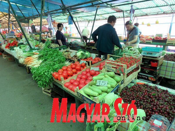 Gazdag zöldségféle-kínálat a szabadkai piacokon (Lackó Varjú Sára felvétele)