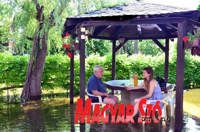Horváth Zoltán: Rostélyozni azért máskor jöjjenek (Dávid Csilla felvétele) Horváth Zoltán: Rostélyozni azért máskor jöjjenek (Dávid Csilla felvétele)