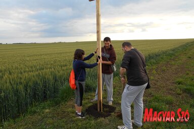 Sihelnik Ágnes felvétele