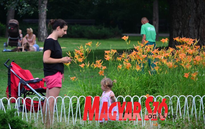 Fotó: Dávid Csilla