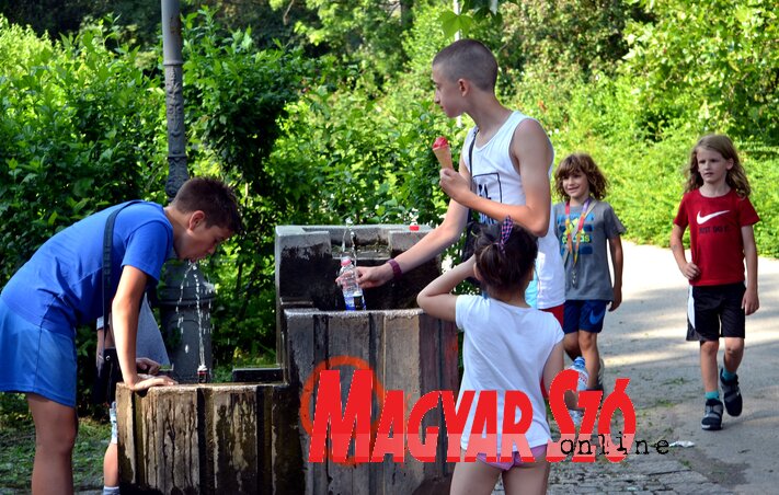 Dávid Csilla illusztrációja