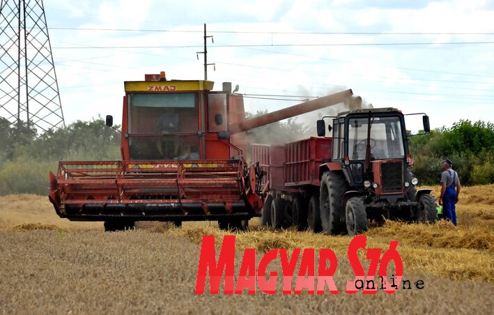 (Fotó: Gergely Árpád)