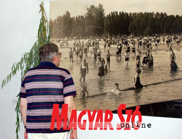 Fotó: Bozsoki Valéria