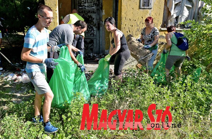 Palicson az IDEA mögött volt egy nagy illegális szemétlerakóhely (Fotó: Gergely Árpád) Palicson az IDEA mögött volt egy nagy illegális szemétlerakóhely (Fotó: Gergely Árpád)