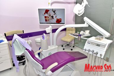 A legtöbb külföldi Norvégiából és Németországból érkezik a klinikára (Fotó: Gergely Árpád)